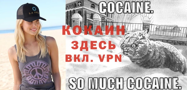 ECSTASY Абаза