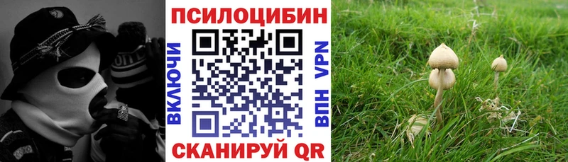 наркота  Алейск  Галлюциногенные грибы MAGIC MUSHROOMS 