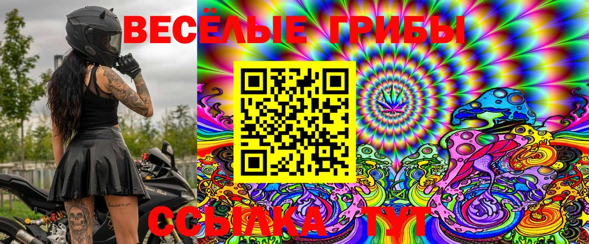 Алейск  Псилоцибиновые грибы Psilocybe  Галлюциногенные грибы MAGIC MUSHROOMS  Вход с VPN 