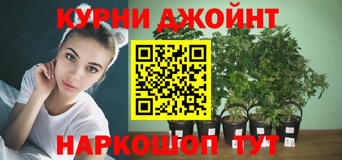 МАРИХУАНА индика  Бошки марихуана Ganja  Вход с VPN  Алейск  МАРИХУАНА ГИДРОПОН 
